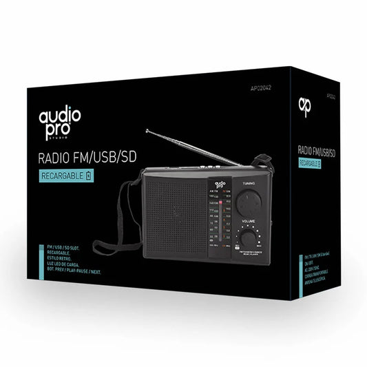 Radio Portatil Recargable FM AM USB Audiopro 2042